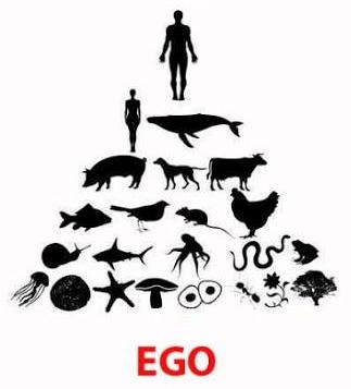 ego-dal-caos