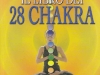 i 28 chakra
